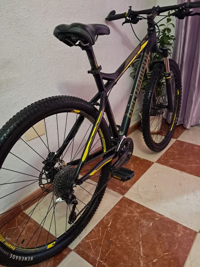 Used Bergamont Bergamont Revox 6.3 Xt 29" Talla L 2025 Mountainbike — image 15 of 16