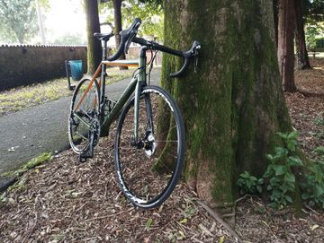 Used Cannondale Caad 12 Disc 2017 Road & Gravel, Green — image 3 of 8