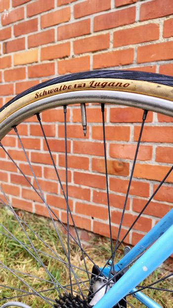 Used Motobecane Trainer 1989 1989 Road & Gravel, Blue — image 19 of 22
