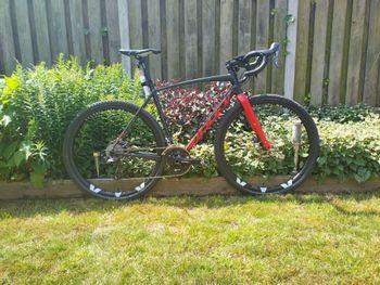 Ridley, Ridley Kanzo A Custom Build