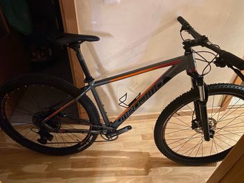 Used Megamo NATURAL ELITE 15 2022 2022 MTB