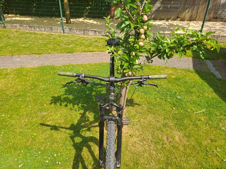 Used Cannondale Trail 3 2020 Mountainbike, Green, 29 — image 5 of 5