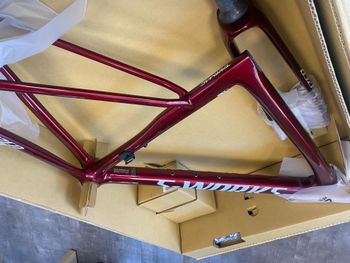 Used Specialized Tarmac SL8 2024 Road & Gravel, Red — image 2 of 3