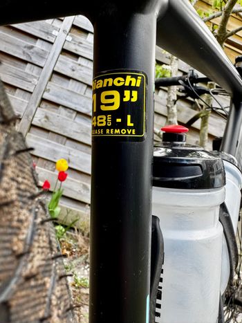 Used Bianchi Jab 29.3 2017 2017 Mountainbike, Black, 29 — image 8 of 20