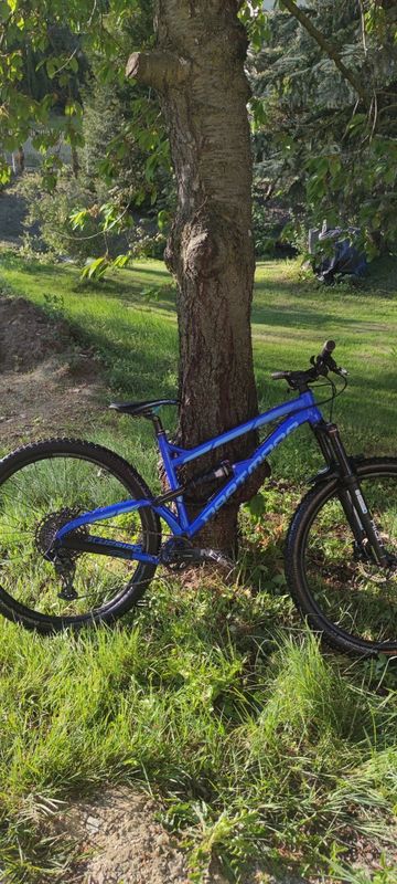 Used Dartmoor Bluebird SRAM GX 2019 Mountainbike, Blue — image 1 of 8
