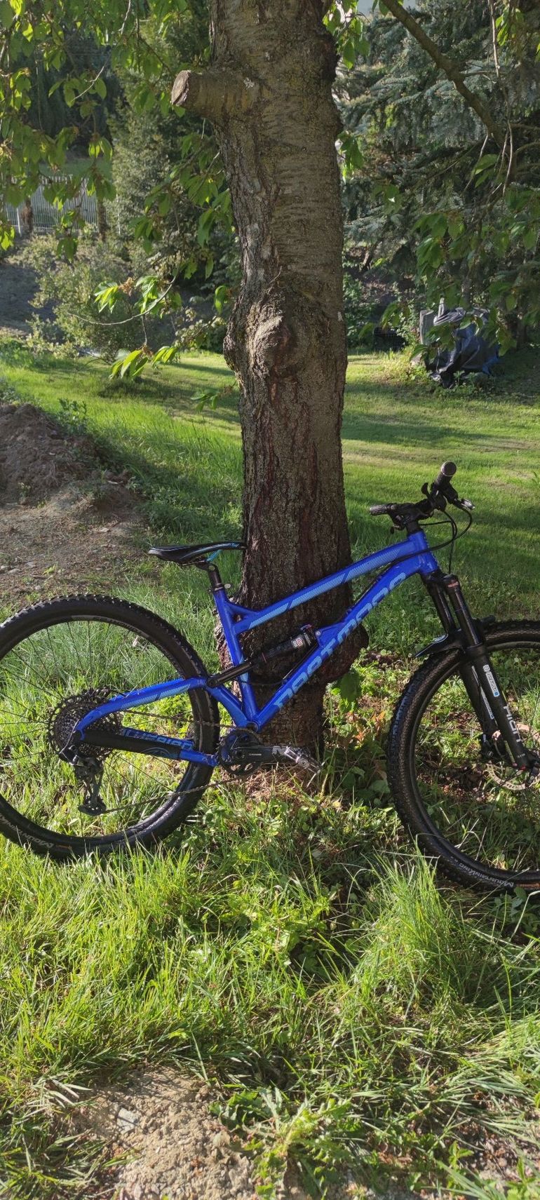 Used Dartmoor Bluebird SRAM GX 2019 Mountainbike, Blue — image 1 of 8