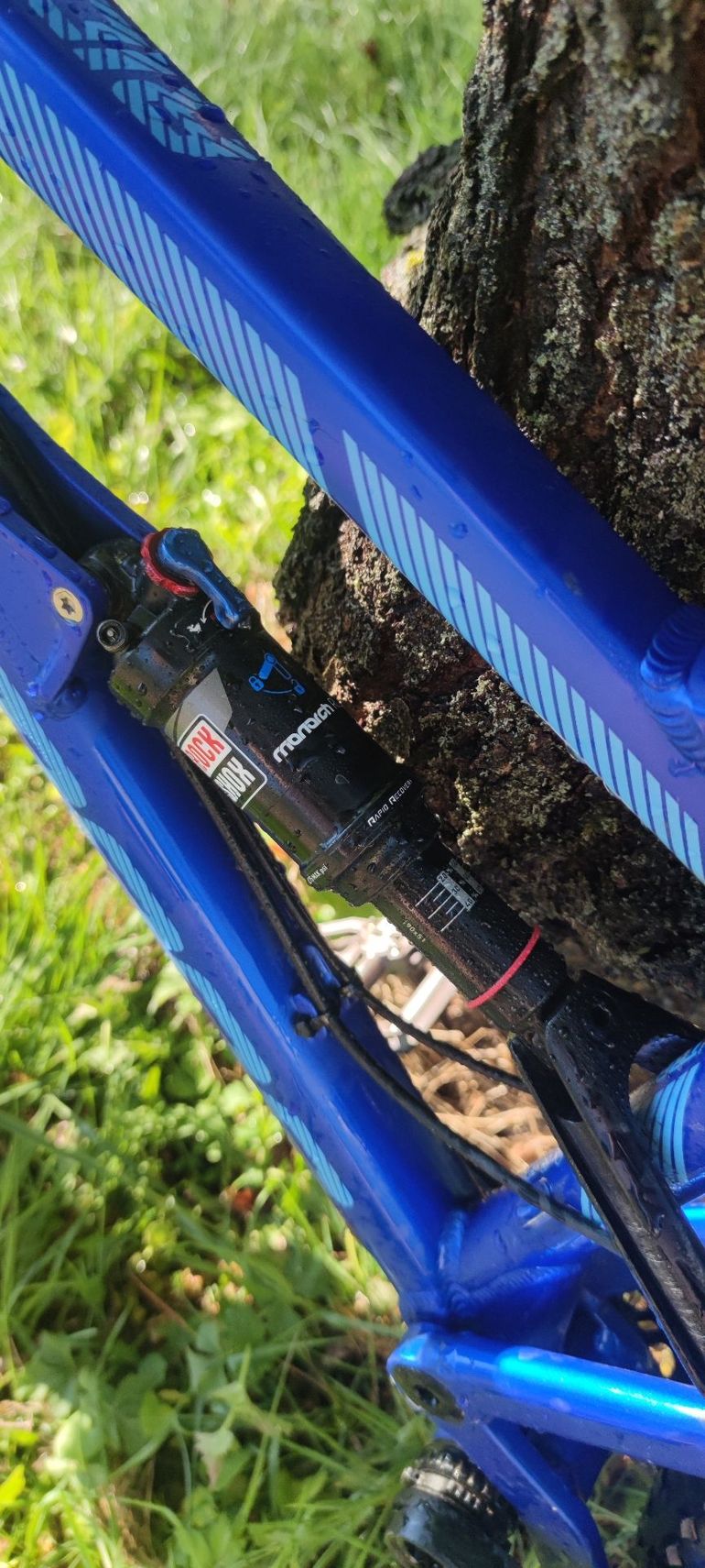 Used Dartmoor Bluebird SRAM GX 2019 Mountainbike, Blue — image 7 of 8