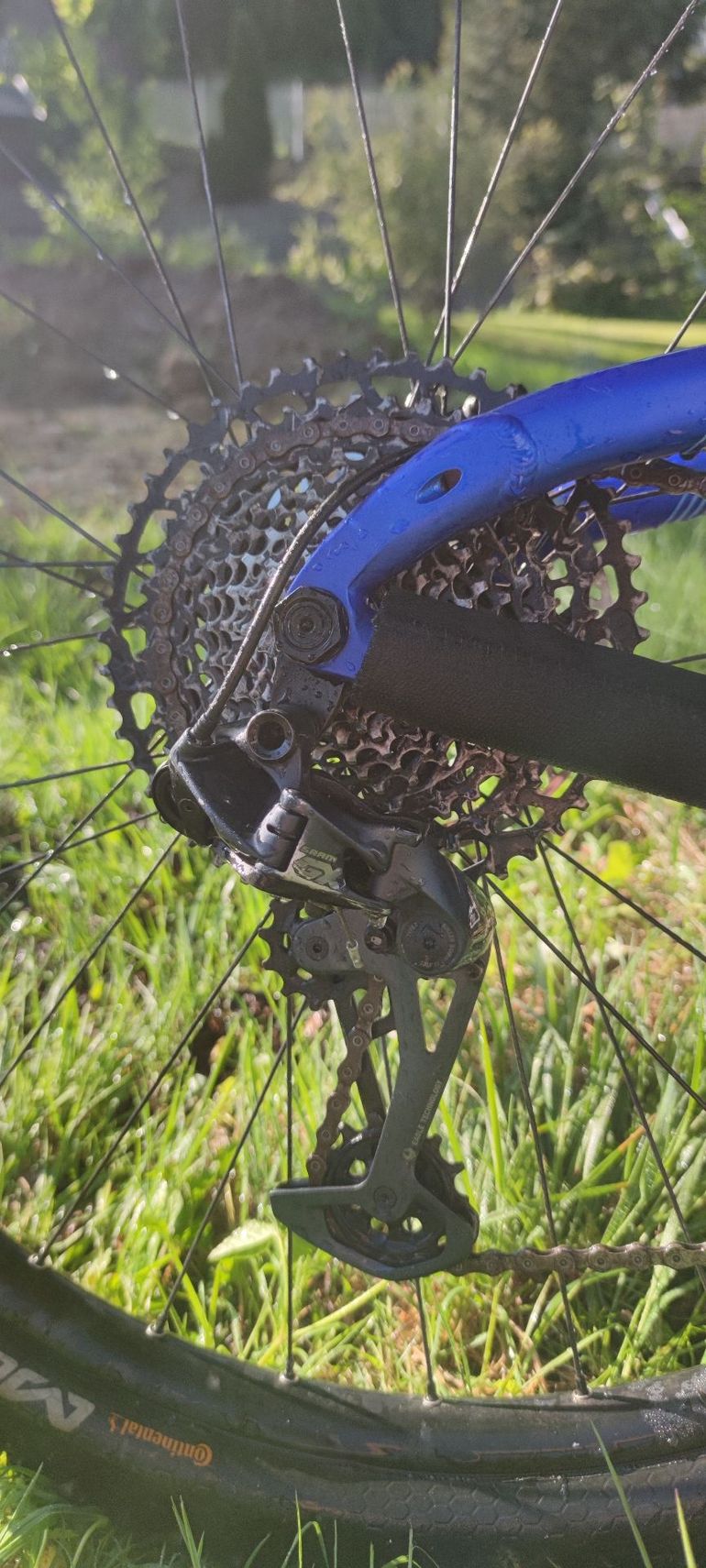 Used Dartmoor Bluebird SRAM GX 2019 Mountainbike, Blue — image 6 of 8