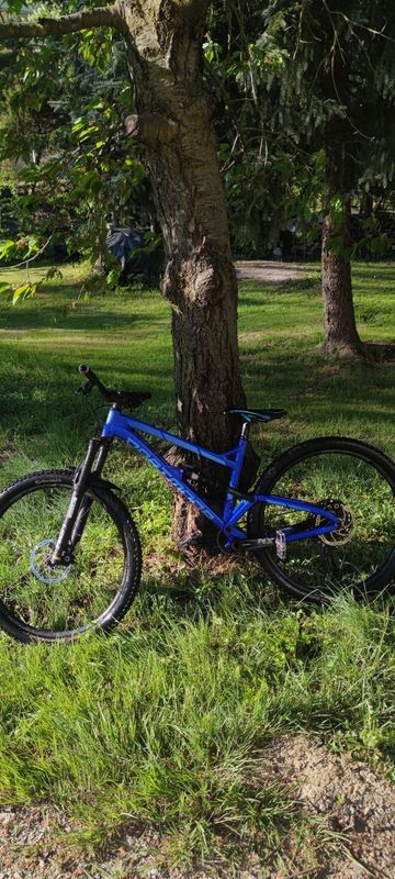 Used Dartmoor Bluebird SRAM GX 2019 Mountainbike, Blue — image 2 of 8