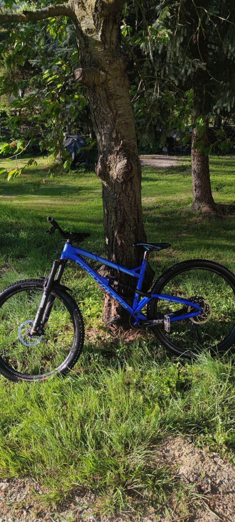 Used Dartmoor Bluebird SRAM GX 2019 Mountainbike, Blue — image 2 of 8