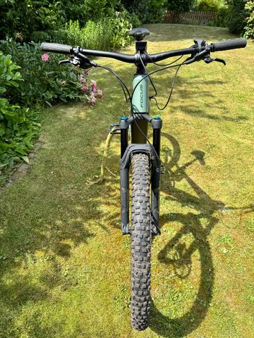 Used Focus THRON² 6.9 2020 2020 Mountainbike, Green, 29 — image 2 of 6