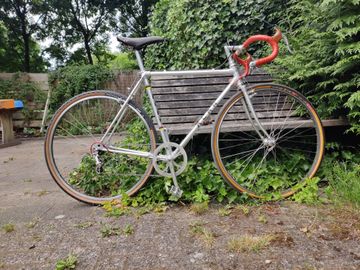 Alan Super Record 1980 Road & Gravel d'occasion — image 14 sur 19