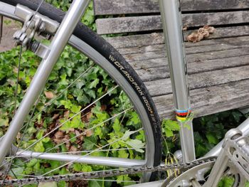 Used Alan Super Record 1967 Road & Gravel, Light Gray — image 11 of 19