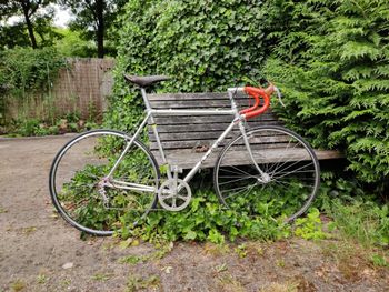 Used Alan Super Record 1967 Road & Gravel, Light Gray — image 18 of 19