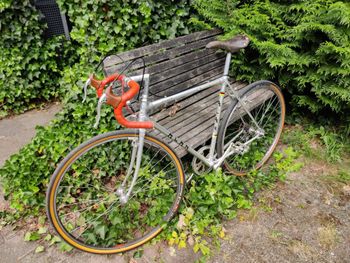 Used Alan Super Record 1967 Road & Gravel, Light Gray — image 13 of 19