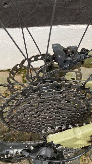 Used Rose Root Miller 1 2024 2024 Mountainbike, Green, 29 — image 9 of 10