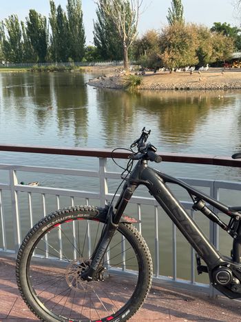 Used GASGAS TRA SE 2024 2024 Mountainbike, Black, 29 — image 2 of 4