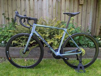 Used Giant TCR Advanced 0 Di2 2025 2025 Road & Gravel, Blau — image 4 of 11