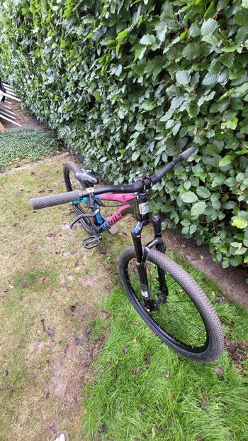 Used Marin Alcatraz 2021 2021 Mountainbike, Blue, 26 — image 3 of 5
