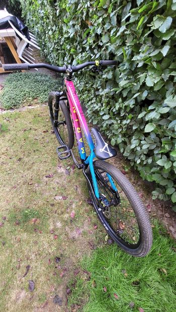 Used Marin Alcatraz 2021 2021 Mountainbike, Blue, 26 — image 4 of 5