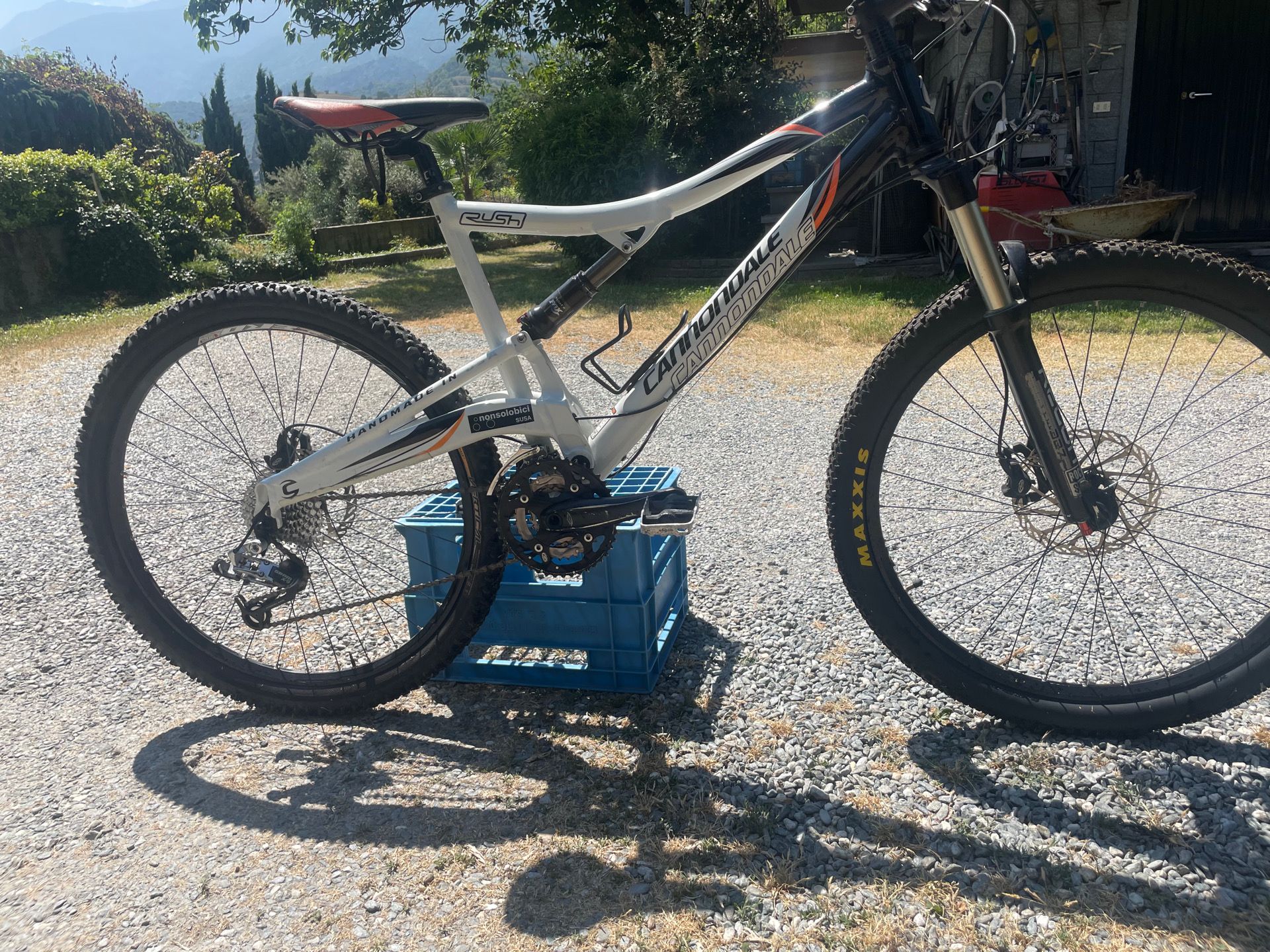 Cannondale Rush 2010