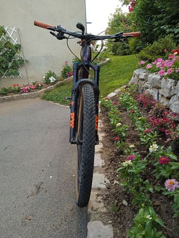 Used Orbea OCCAM M30 2022 2022 Mountainbike, Purple, 29 — image 3 of 8