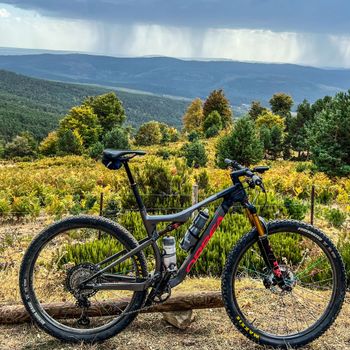 Orbea, OIZ M PRO TR 2021
