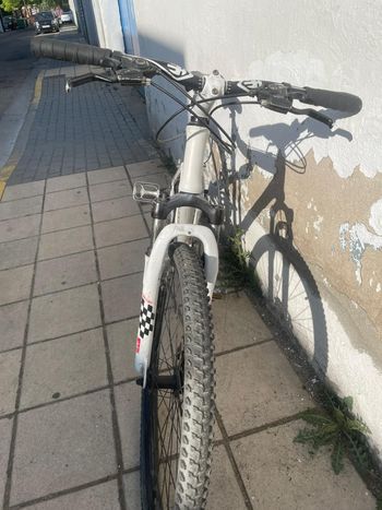 RACE MOUNTAIN Race RM200 2005 Mountainbike usato, Bianco — immagine 3 di 4