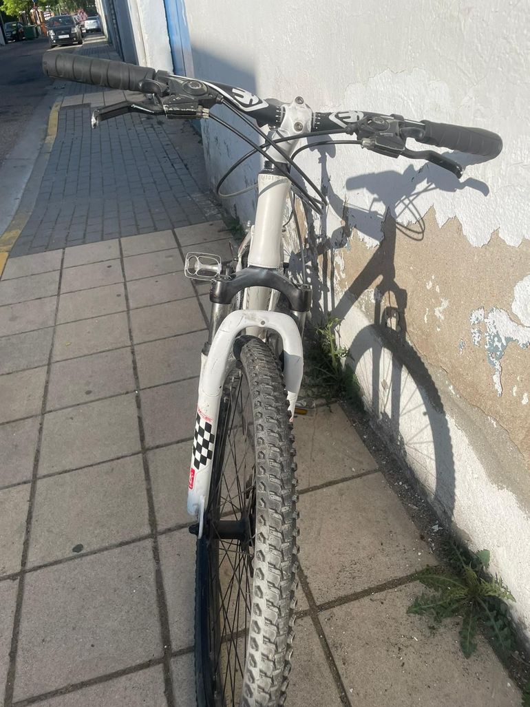 RACE MOUNTAIN Race RM200 2005 Mountainbike usato, Bianco — immagine 3 di 4