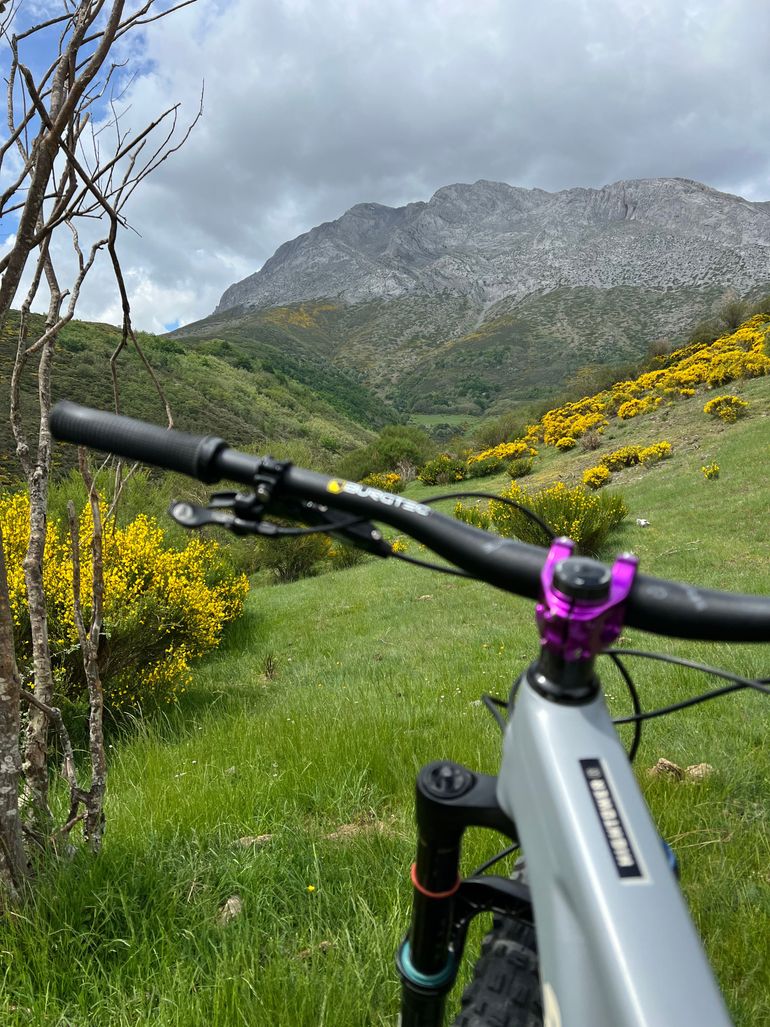 Used Santa Cruz 2021 2021 Mountainbike, Light Gray, 29 — image 3 of 10