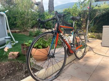 Used Stevens Izoard Pro Carbone Ultégra 2016 Road & Gravel, Orange — image 2 of 3