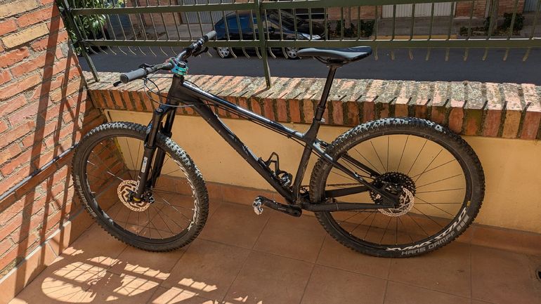 NS Eccentric Alu 29 2021 2021