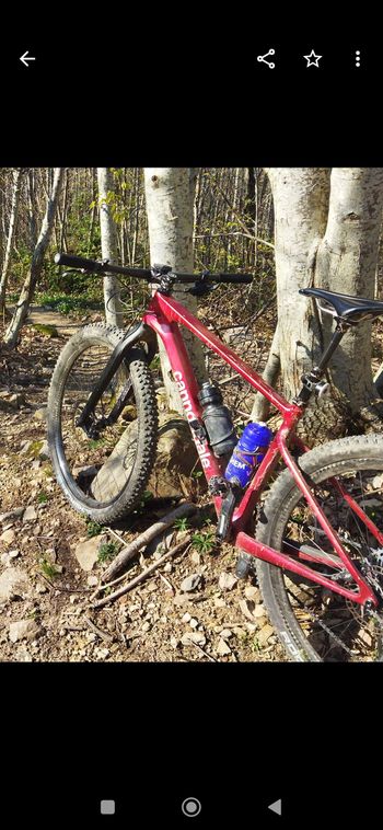 Used Cannondale Scalpel HT Carbon 2 2022 2022 Mountainbike, Red — image 10 of 22
