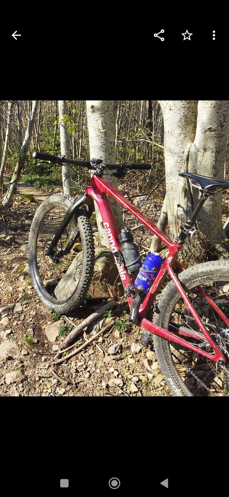 Used Cannondale Scalpel HT Carbon 2 2022 2022 Mountainbike, Red — image 10 of 22
