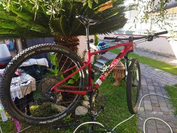 Used Cannondale Scalpel HT Carbon 2 2022 2022 Mountainbike, Red — image 3 of 22