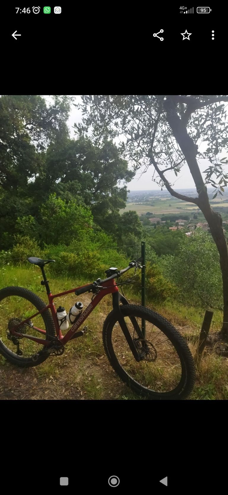 Used Cannondale Scalpel HT Carbon 2 2022 2022 Mountainbike, Red — image 12 of 22