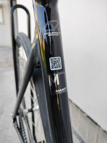 Used Giant Omnium Single Speed / Fixed Gear 2017 Road & Gravel, Black — image 4 of 6
