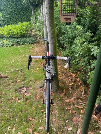 Used Cannondale Supersix Evo 2013 2013 Road & Gravel, Red — image 8 of 9