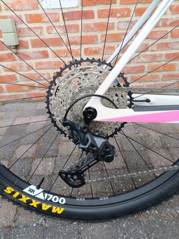 Used Canyon Exceed CF 6 2022 2022 Mountainbike, White, 29 — image 5 of 5