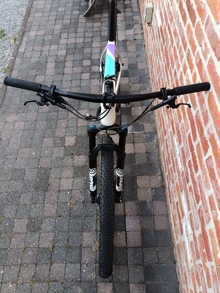 Used Canyon Exceed CF 6 2022 2022 Mountainbike, White, 29 — image 3 of 5