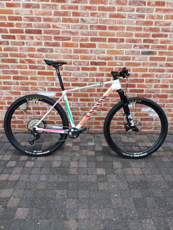 Used Canyon Exceed CF 6 2022 2022 Mountainbike, White, 29 — image 1 of 5