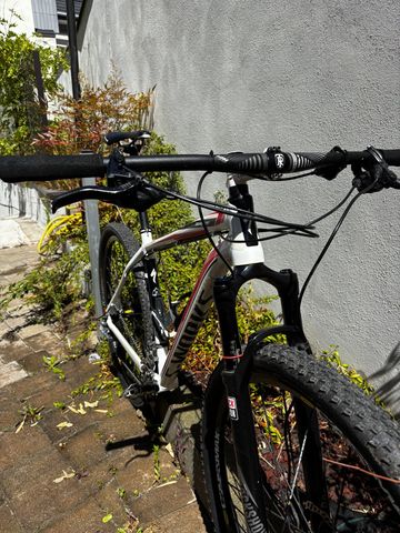Used Specialized Stumpjumper Comp 29 2012 2012 Mountainbike, White, 29 — image 10 of 14
