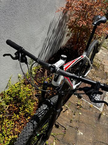 Used Specialized Stumpjumper Comp 29 2012 2012 Mountainbike, White, 29 — image 14 of 14