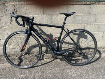 Focus IZALCO RACE 9.8 2019 2019