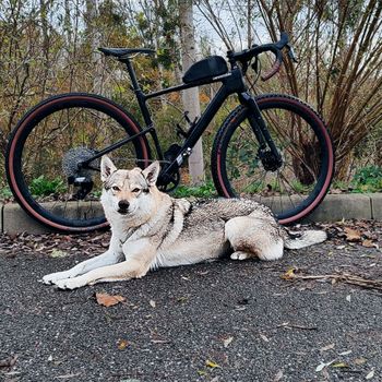 Cannondale, Topstone Carbon Apex AXS 2024