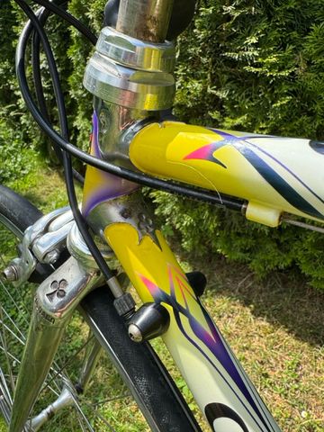 Gebrauchtes Colnago Tecnos Art Decor 1999 Road & Gravel, Weiß — Bild 10 von 27