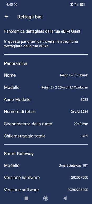Giant Reign E+ 2 2024 2024 Mountainbike usato, Grigio chiaro — immagine 15 di 15