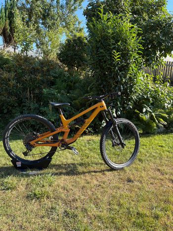 Canyon, Torque Mullet CF 7 2024