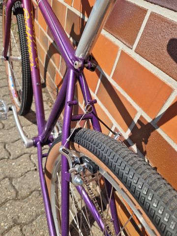 Used Specialized Expert Ca. 1993 1993 Mountainbike, Purple — image 6 of 23