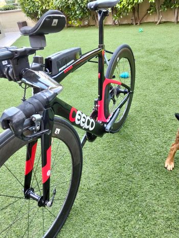 Used Ceepo Katana 2019 Road & Gravel, Black — image 19 of 20
